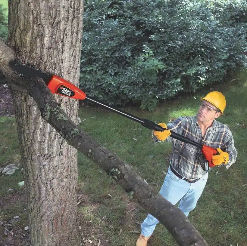 élagueuse black decker sans fil